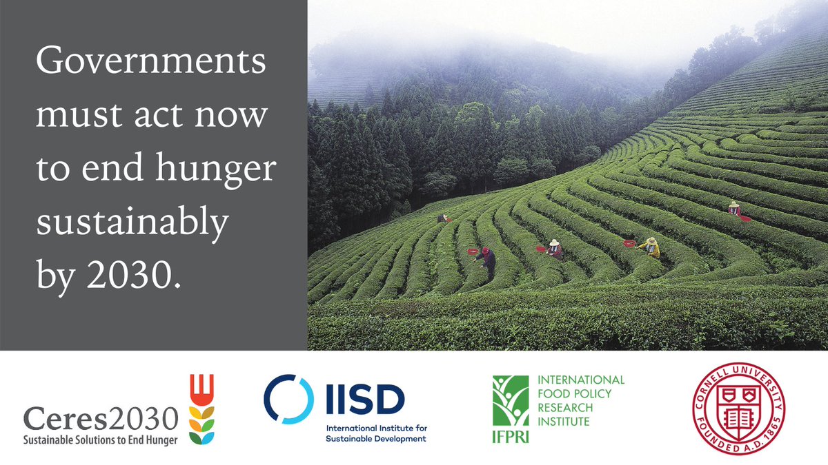 Ceres2030's tweet photo. We can end hunger by 2030.

We reviewed and analysed 20 years of evidence and used AI and complex economic modelling to find out how much it would cost to #EndHunger

This is what we found: https://t.co/X0ioAdRIQL

#GoodFood4All https://t.co/FZjdW3iExY
