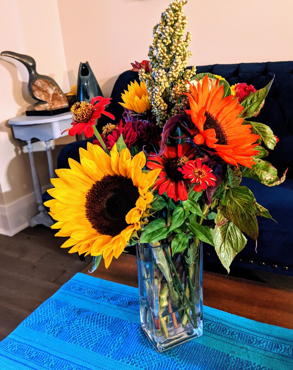 SocentGirl's tweet photo. Yesterday's flowers helping to brighten a rather dull Thanksgiving Monday in Toronto. https://t.co/y1WNTMRvQ0