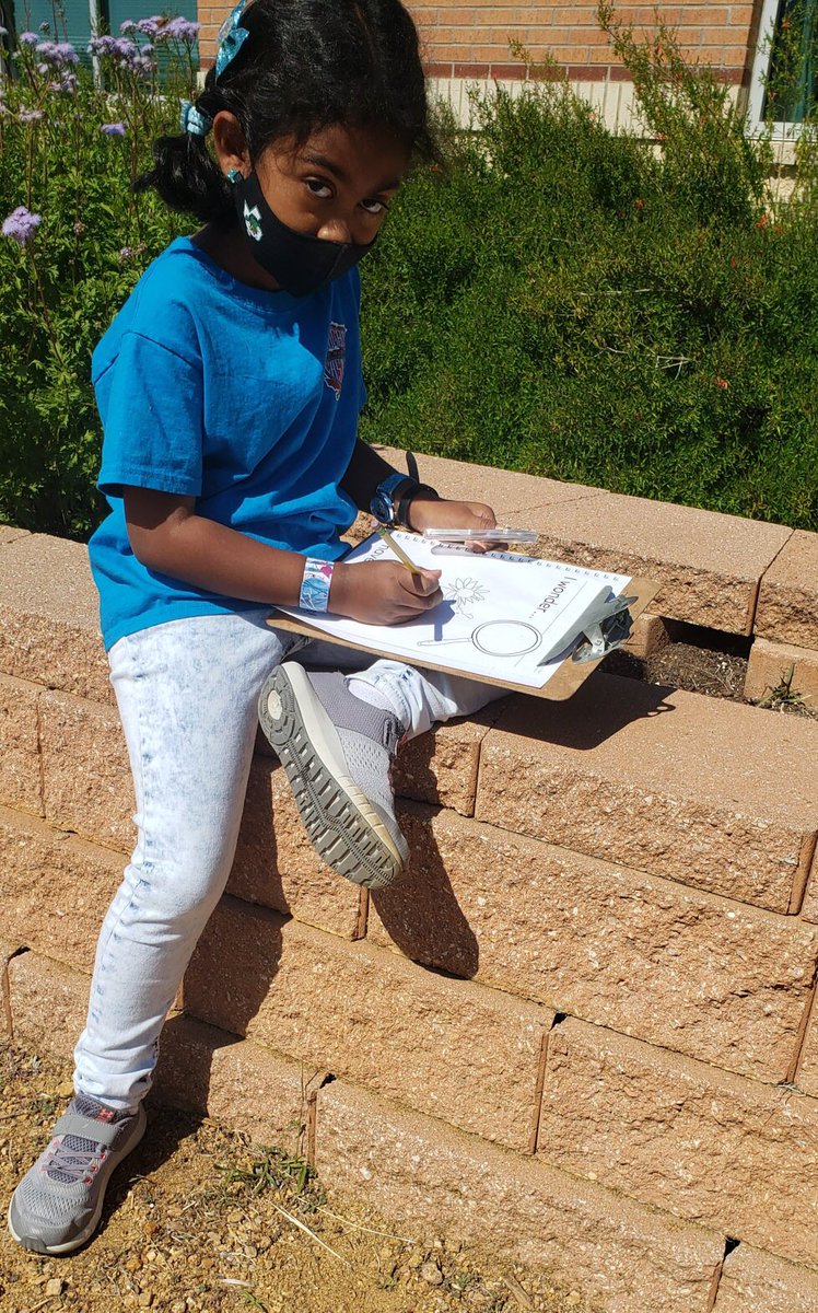 Scientists at <a href="/WGESdragons/">Walnut Grove ES</a> collect evidence by observing and asking lots of questions.  Beautiful days are perfect for that!