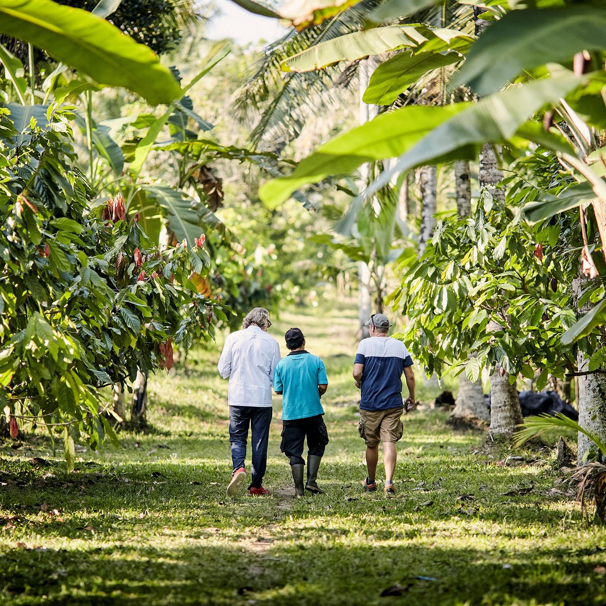 At Valrhona we celebrate #ChocolateWeek every week! We work side by side with partners and collaboraters along the supply chain from plantation to plate. This means we can ensure quality, consistency and transparency throughout the whole process.