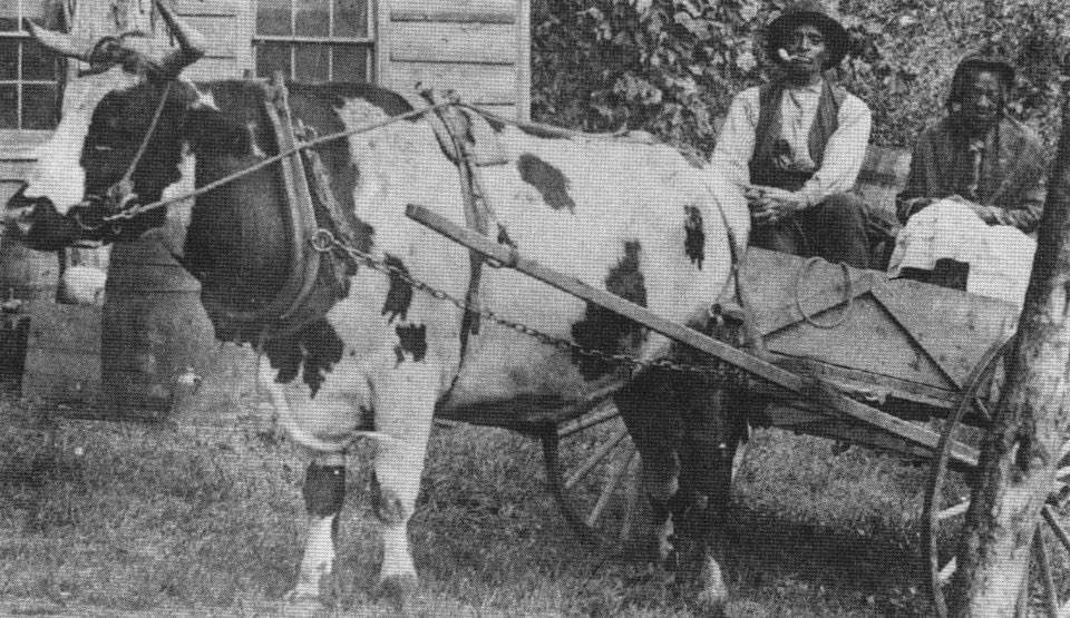 DrinkSolaPop's tweet photo. Sandy Ground, Rossville, Staten Island (1830s-1960s). Sandy Ground is the longest-standing free Black community in the US. Freemen started buying land around the 1830s, many of whom were Maryland oystermen coming to oyster-rish SI and served as a stop on the Underground Railroad. https://t.co/b0LmRRZ5Ql