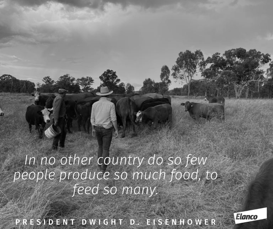 Elanco's tweet photo. Today we celebrate, National Farmers Day, a day to honor and recognize a profession that dates back 12,000 years. It is a day to salute the hard work farmers put into growing their crops and raising their livestock. #NationalFarmersDay https://t.co/i8LQvivePi