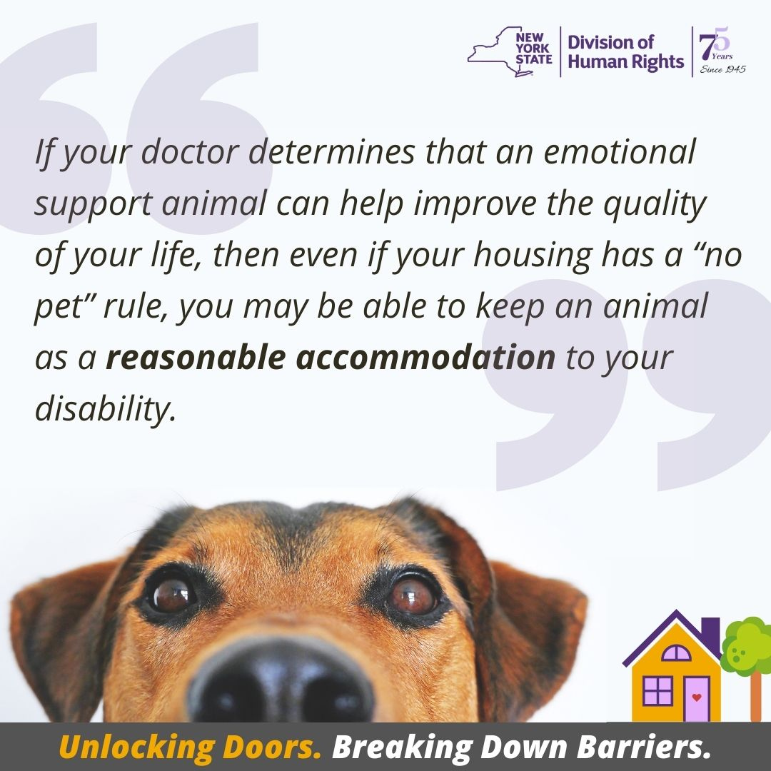 NYSHumanRights's tweet image. Emotional support animals are not just &quot;pets&quot;. 

#fairhousingmattersny #unlockingdoors #breakingdownbarriers #NY4FairHousing

dhr.ny.gov/fairhousing
844-862-8703