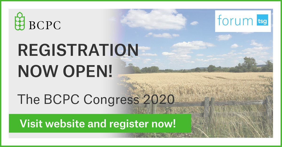 TSG Forum tweet media