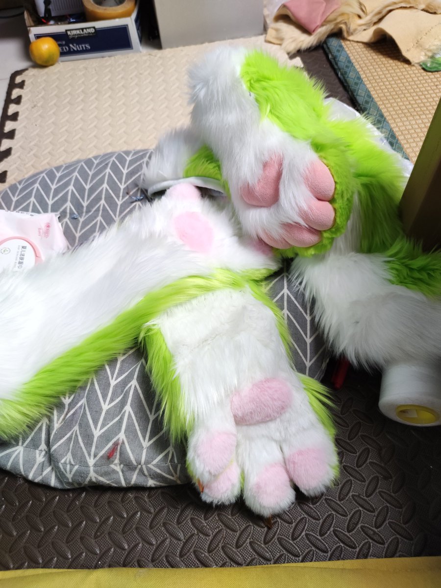 焰龍 Kiyo 开始制作本体啦 也是小老虎哟