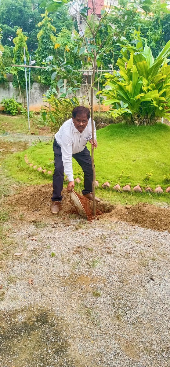 Additional Collector, RajannaSircilla tweet media