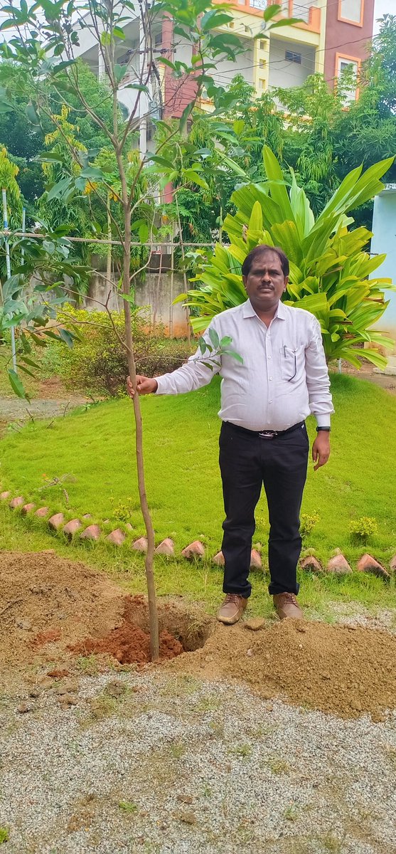 Additional Collector, RajannaSircilla tweet media