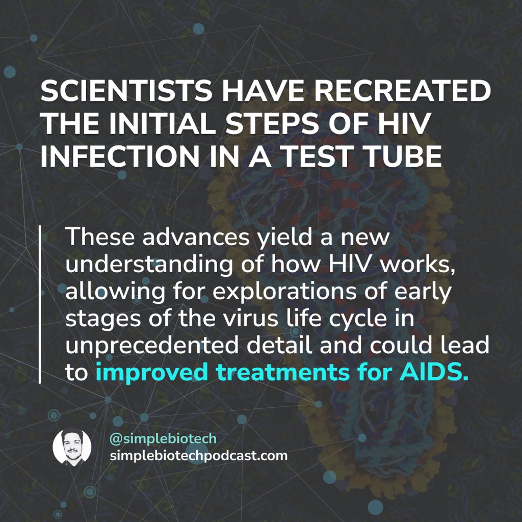 simplebiotech's tweet photo. Scientists Have Recreated The Initial Steps of HIV Infection in a Test Tube

#scientist #biotech #biotechnology #scientists   #sciencepodcast #biotechpodcast #researcher #scicomm #virus #hiv #aids #hivawareness #hivaids #virology https://t.co/xtzqdVmnIq