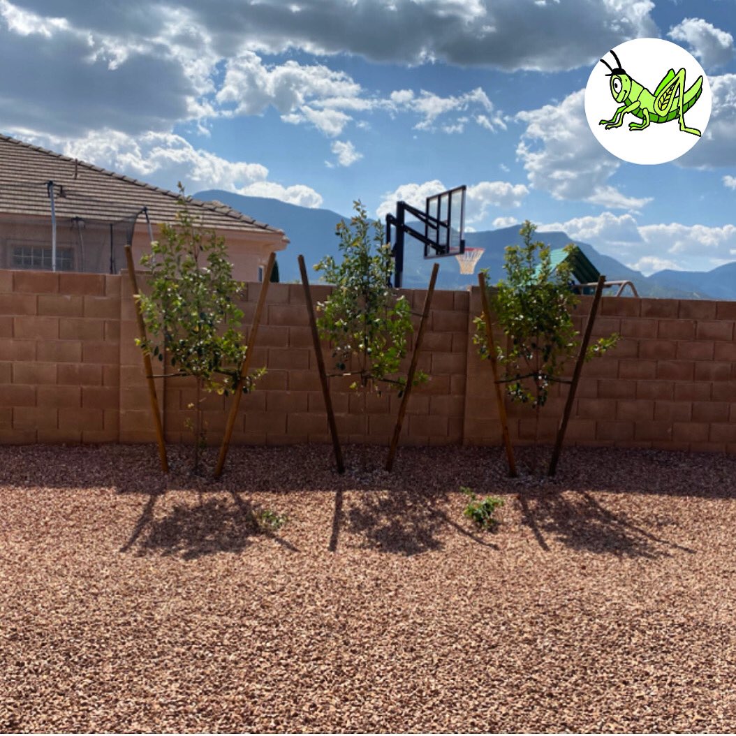 grasshoppersv's tweet photo. Happy
Happy 
Monday !!! 

Quality From the Ground Up! 
https://t.co/j8epaYLXmN

#azlandscaping #sierravista #treesplanted #treeblock #october2020 #monday #grasshoppersv https://t.co/zmn2uF3LQH