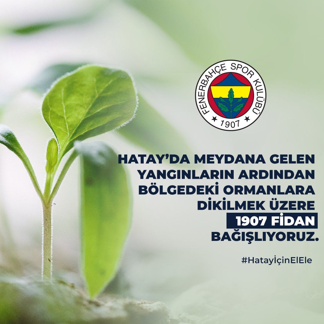🌱 #HatayİçinElEle 

Hatay'da meydana gelen yangınlarda zarar gören ormanlarımıza can olmak için 1907 fidan bağışlıyor ve <a href="/ibfk2014/">RAMS Başakşehir</a>'e meydan okuyoruz.