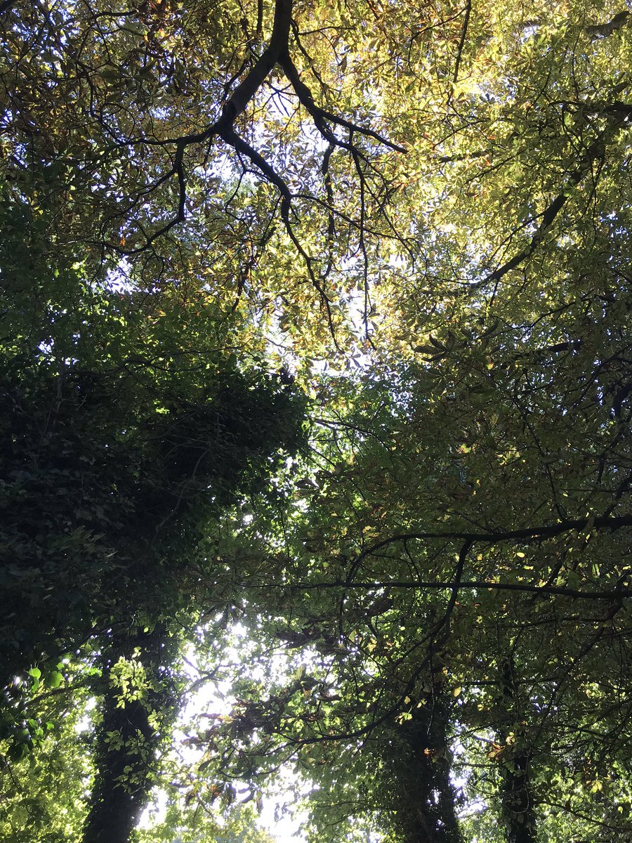 sineadlynch101's tweet photo. In todayโs #covid monotony I feel very grateful ... #bittasun #greatdrying #lovenature #sleepingbaby https://t.co/0Phi8goY8U