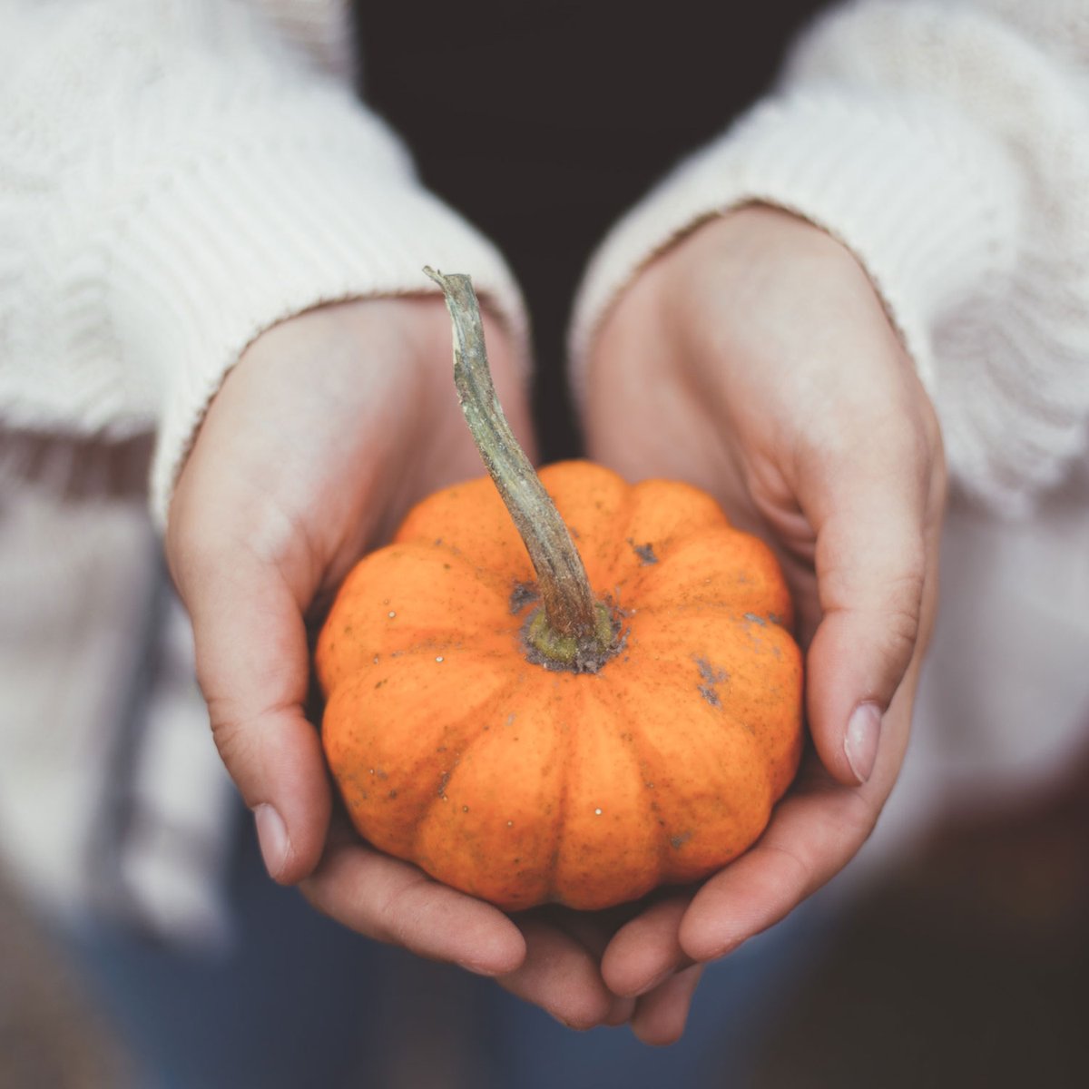 Hotel Victoria tweet media