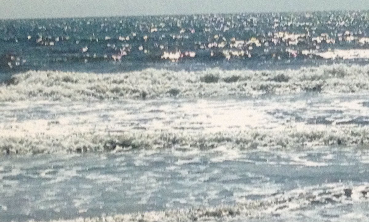 richschramm1's tweet image. Water is life.🌊💧🌎🌧🐬🚣🏽🏄🏻‍♂️🏊🏽‍♂️Cherish it. Protect it.  #ocean #water @CleanUpOceans @OurOcean @TheOceanCleanup @ESA_org @Earthjustice @TheEarthkeepers @SierraClub