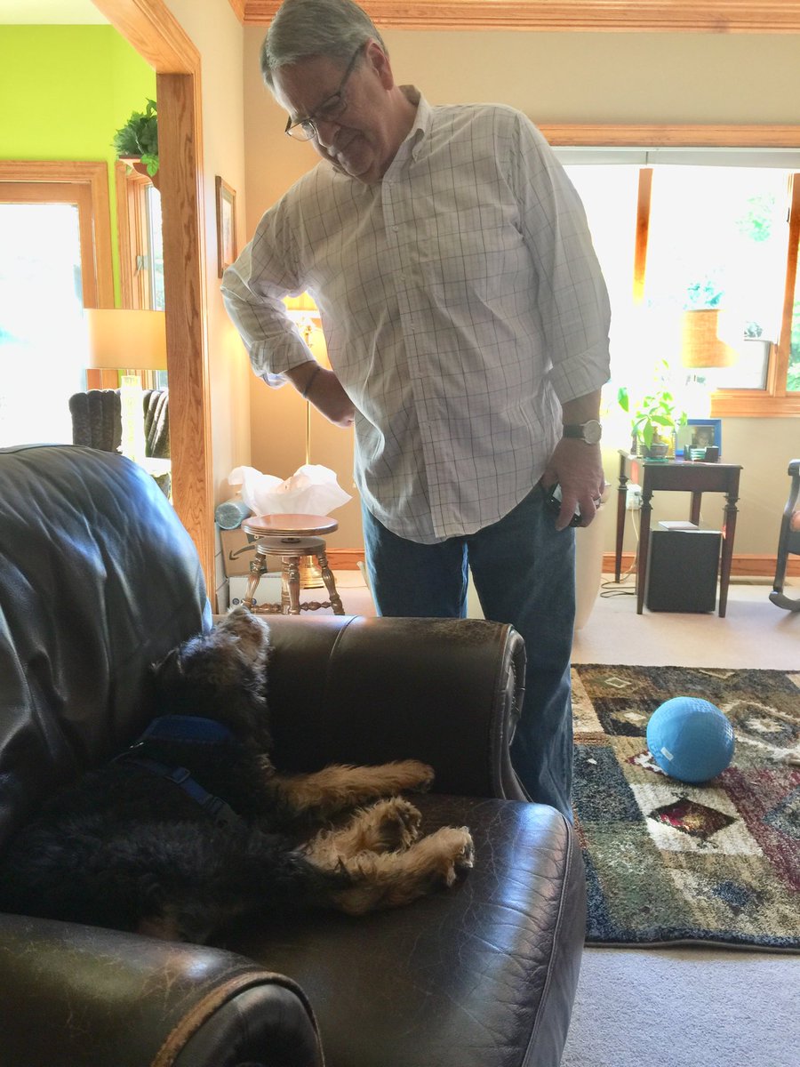 Man versus dog! Who gets to the best chair first?