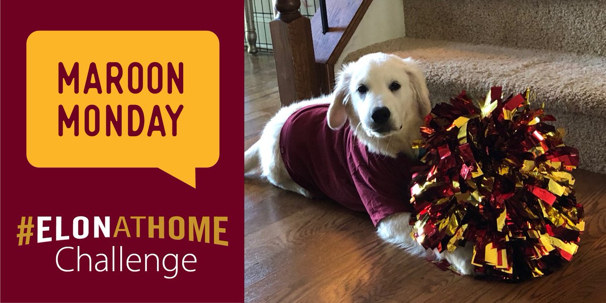 elonalumni's tweet image. The first challenge of the week is here! Celebrate the kick off of Elon Homecoming &amp;amp; Reunion Week by wearing your favorite Elon gear (but make it maroon!) Snap a picture and tag it #ElonatHome so we can add you to our social media wall: bit.ly/3ly1jEo