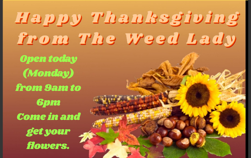 Bonnie Green tweet media