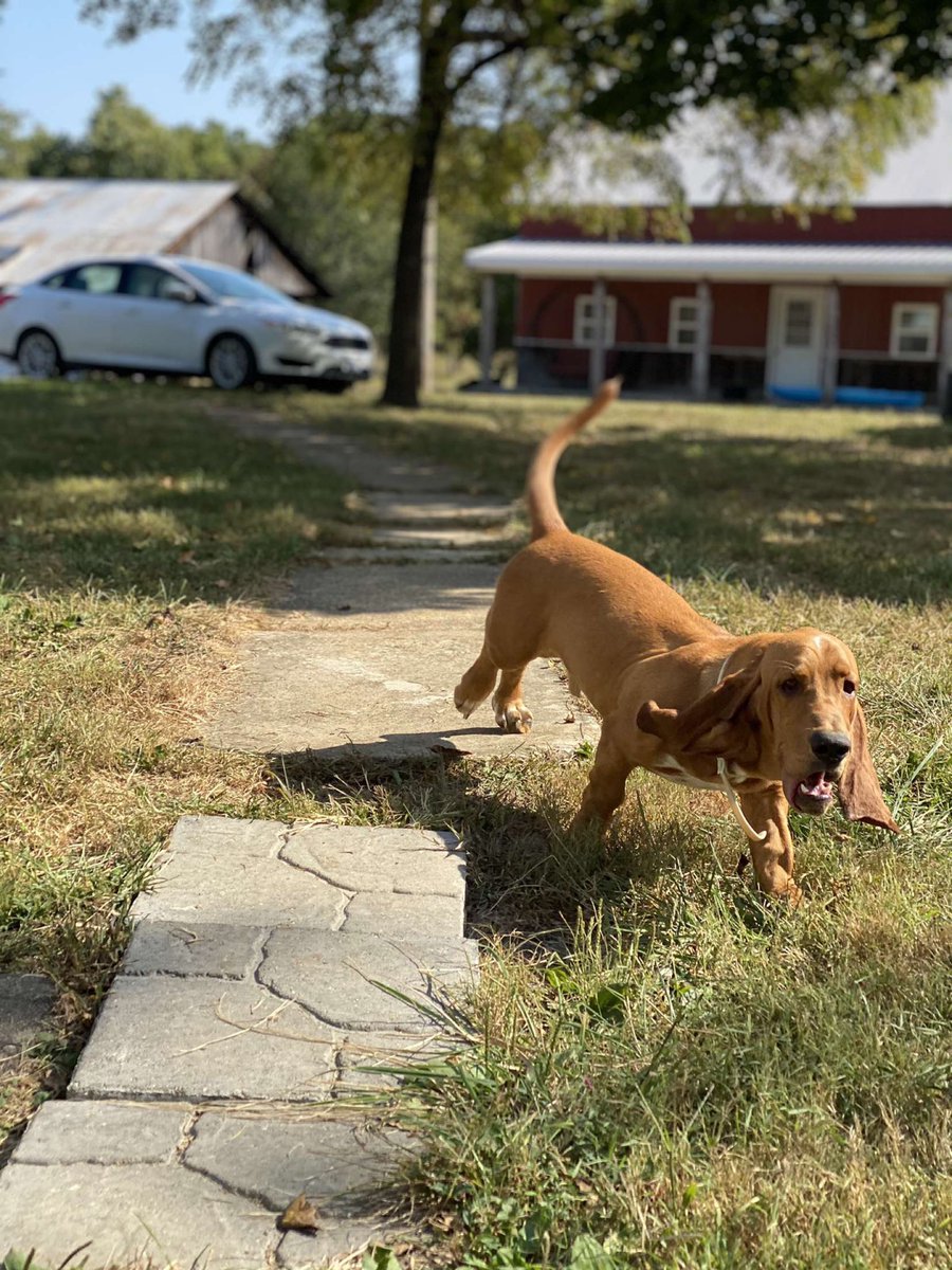 captaincopes's tweet image. How it was               How it’s going