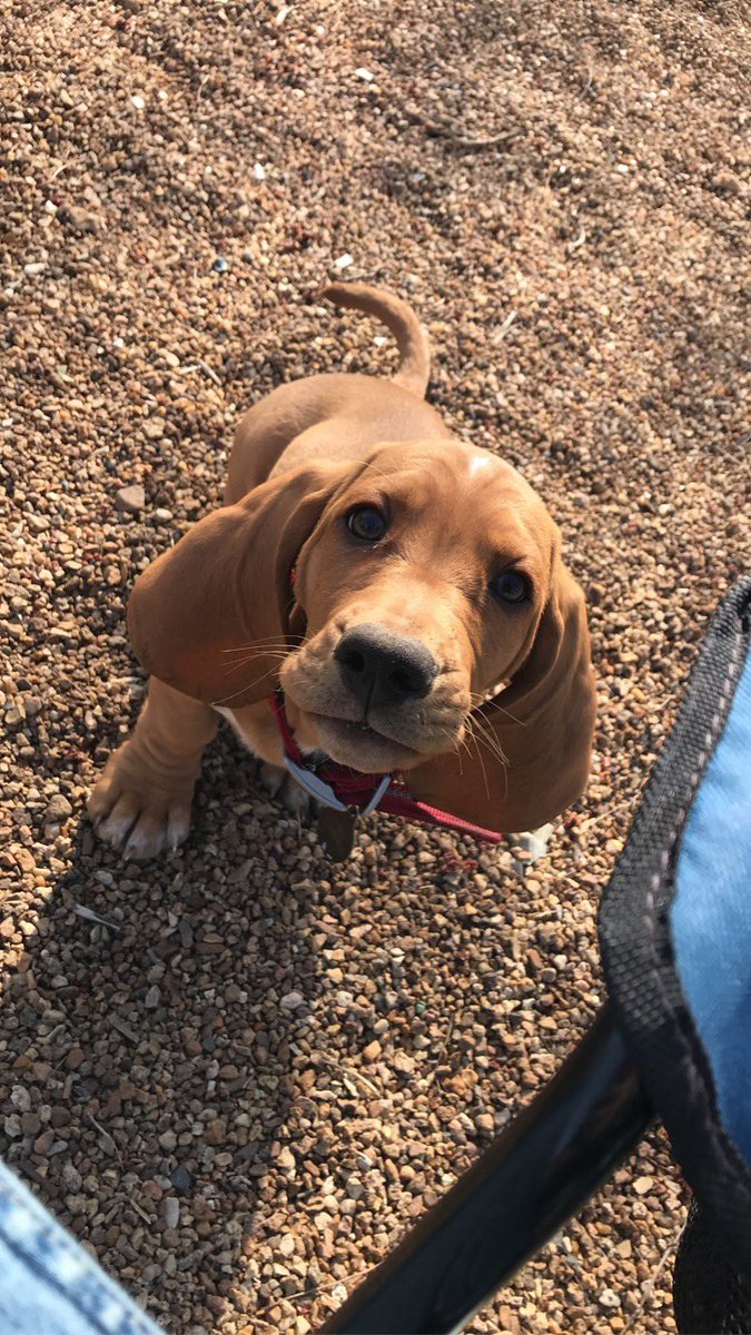 captaincopes's tweet image. How it was               How it’s going