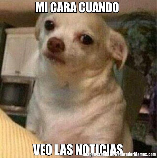 Lina Rubina tweet media