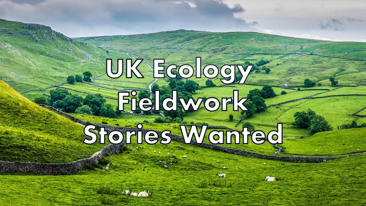 FieldNotes_Pod's tweet photo. Fieldwork isn't all jungles and deserts. Do you have expedition experiences closer to home? We'd love to hear and share your stories of fieldwork in the UK https://t.co/smd7Z0yiOy