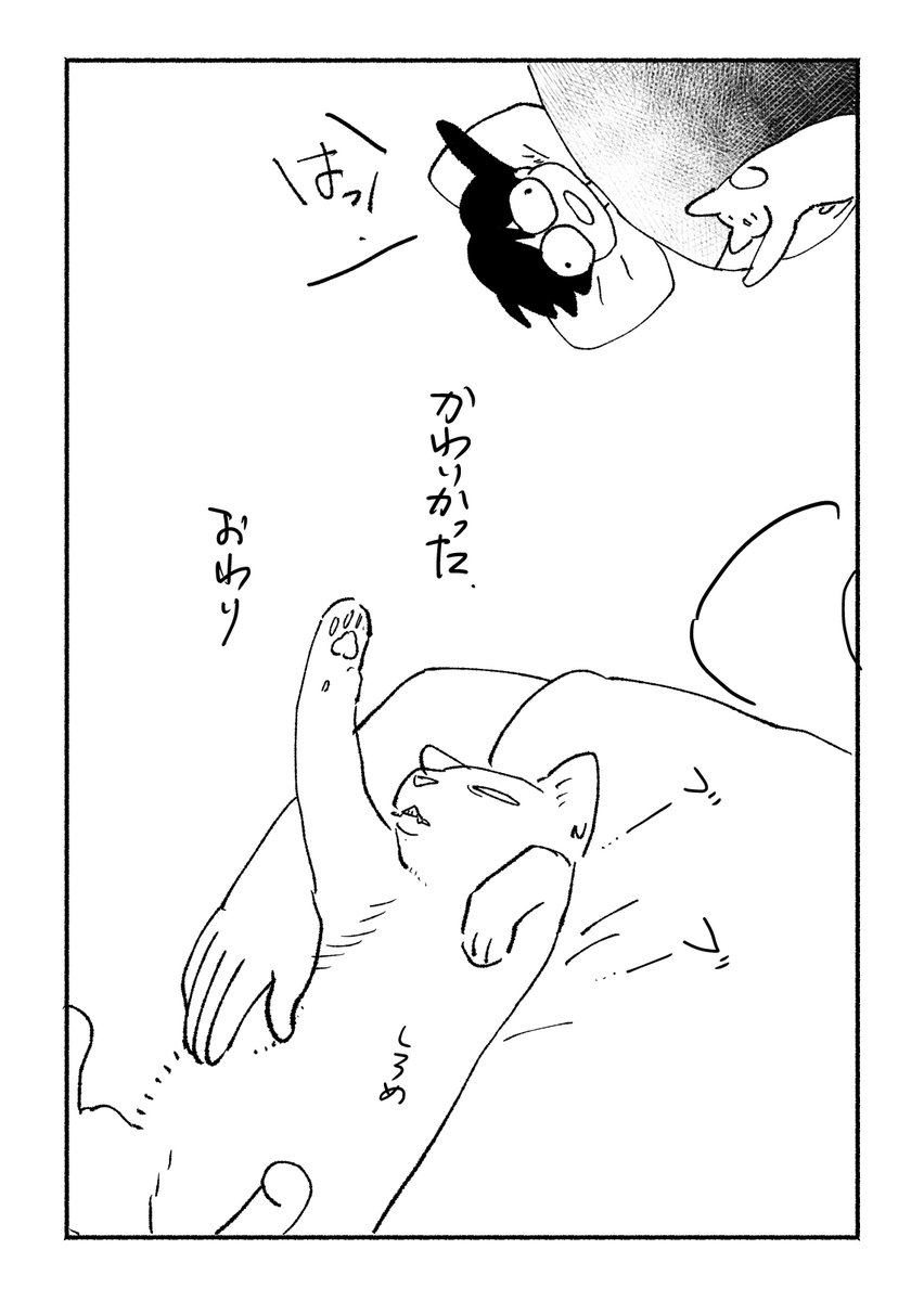猫がかわいかったという日記的なものです 