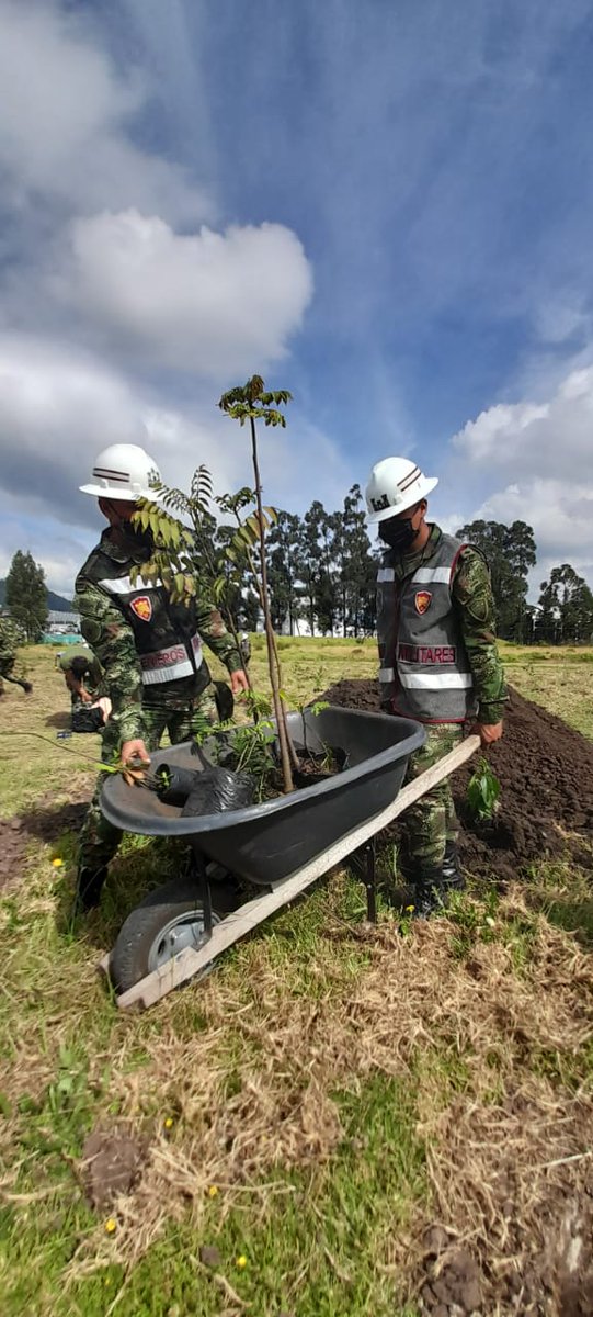 MinAmbienteCo's tweet photo. #SembrarNosUne 🌱 con la comunidad y nuestros ecosistemas.
Iniciamos la Gran Sembratón Nacional 🌿 con el apoyo de @COL_EJERCITO en la siembra de árboles 🌳 realizada en el @ParqJaimeduque en #Cundinamarca. https://t.co/7HG2aV7VXT