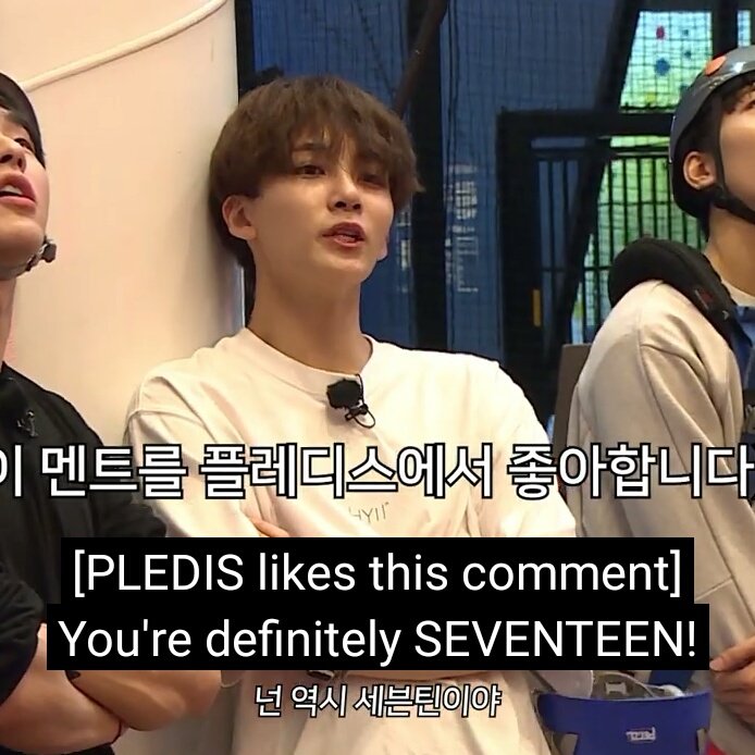 things that seventeen said that seems like fake subs but aren't; gose svtsideout thread[  #GOING_SVT  #SEVENTEEN    #세븐틴    @pledis_17 ]