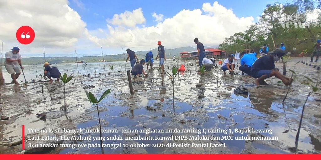 mcc_maluku's tweet photo. Tanam 840 Mangrove di Pesisir Pantai Lateri Lokasi ke 3 #mangroves #Coastal #volunteer #moluccascoastalcare #ambon https://t.co/dEVb9ZHZ93
