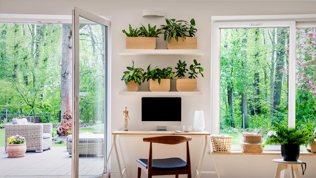 fenestawindows's tweet photo. Working from Home? Add tiny succulents to your
workstation to keep the positivity in and the stress outside.
#InteriorDecorTips #HomeDecor #InteriorDesign #DeskSetup #KeeptheOutsideOutside https://t.co/57CJcdKxYc
