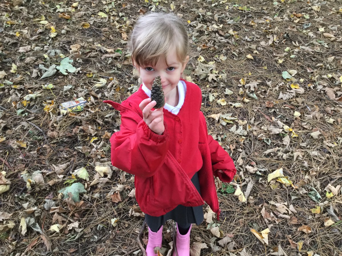 Reception Owls have had a great day exploring the outdoors searching for signs of autumn today! 🍁🍂🐿