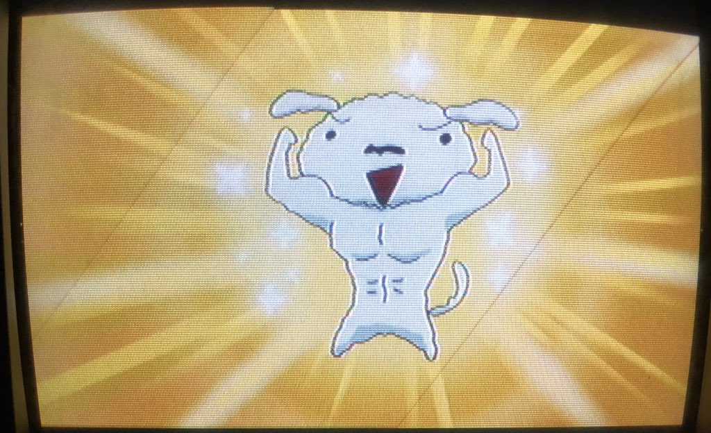 ダイチ シロが太っちゃったゾ ダイエットするシロが超絶にかわいい 商店街の人達にも愛されてるって わかるのが良いね しんちゃんも協力してあげる感じが絆を感じて良い ムキムキもぽっちゃりも良いけどシロはわたあめ体型が一番だね クレヨン