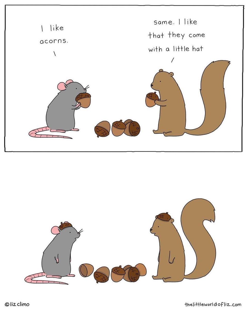 sierraladeroute's tweet photo. Giving thanks for everything this Thanksgiving, including little acorns that become hats! Hehe #Thanksgivingweekend #octoberbliss https://t.co/44o1CJyQUQ
