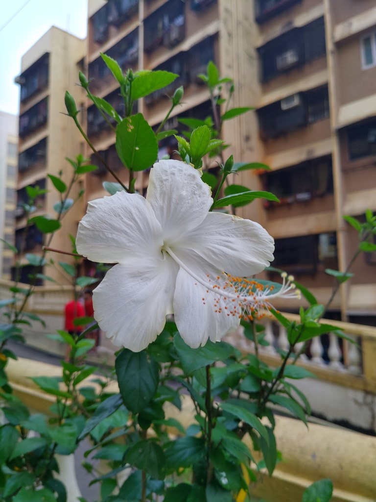 Veenabhakta's tweet image. It&apos;s been nearly 8 hours without power! 
Time passing in the society for about an hour now. A random click. 
#MumbaiPowerFailure
#powergridfailure