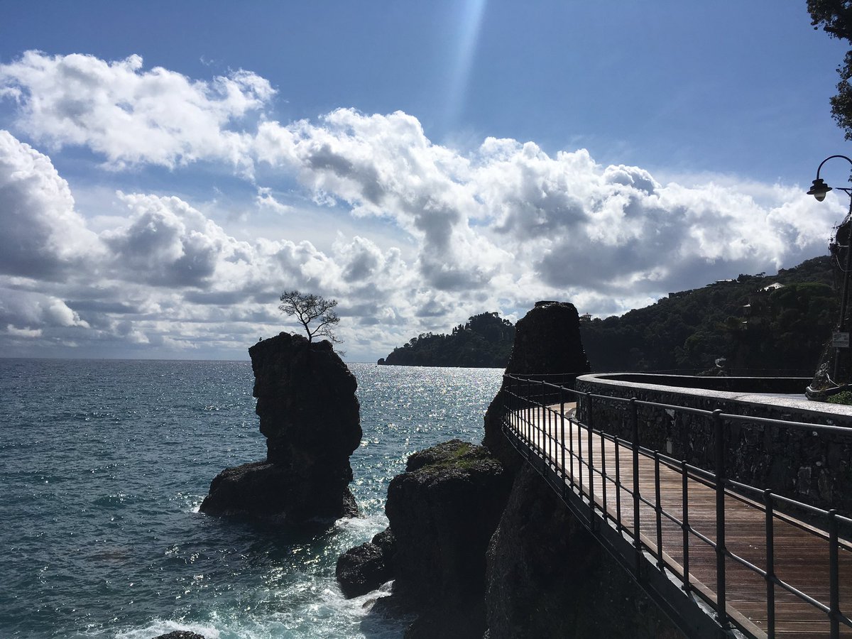 Stefano Rosa (@morpheus1820) on Twitter photo 