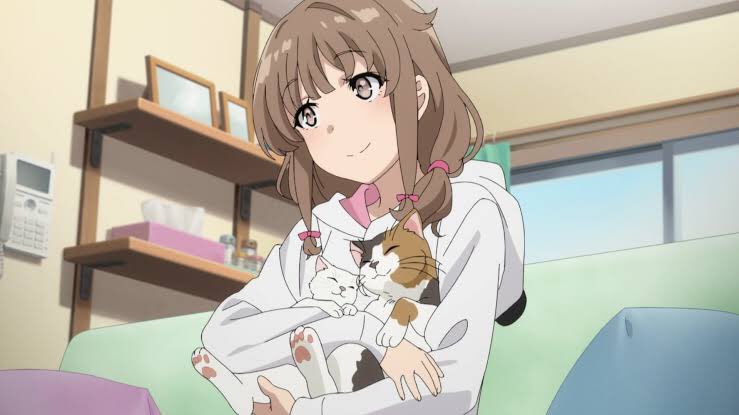 Seishun Buta Yarou wa Bunny Girl Senpai no Yume wo Minai/Rascal Does Not Dream of Bunny Girl Senpai (8.4/10)