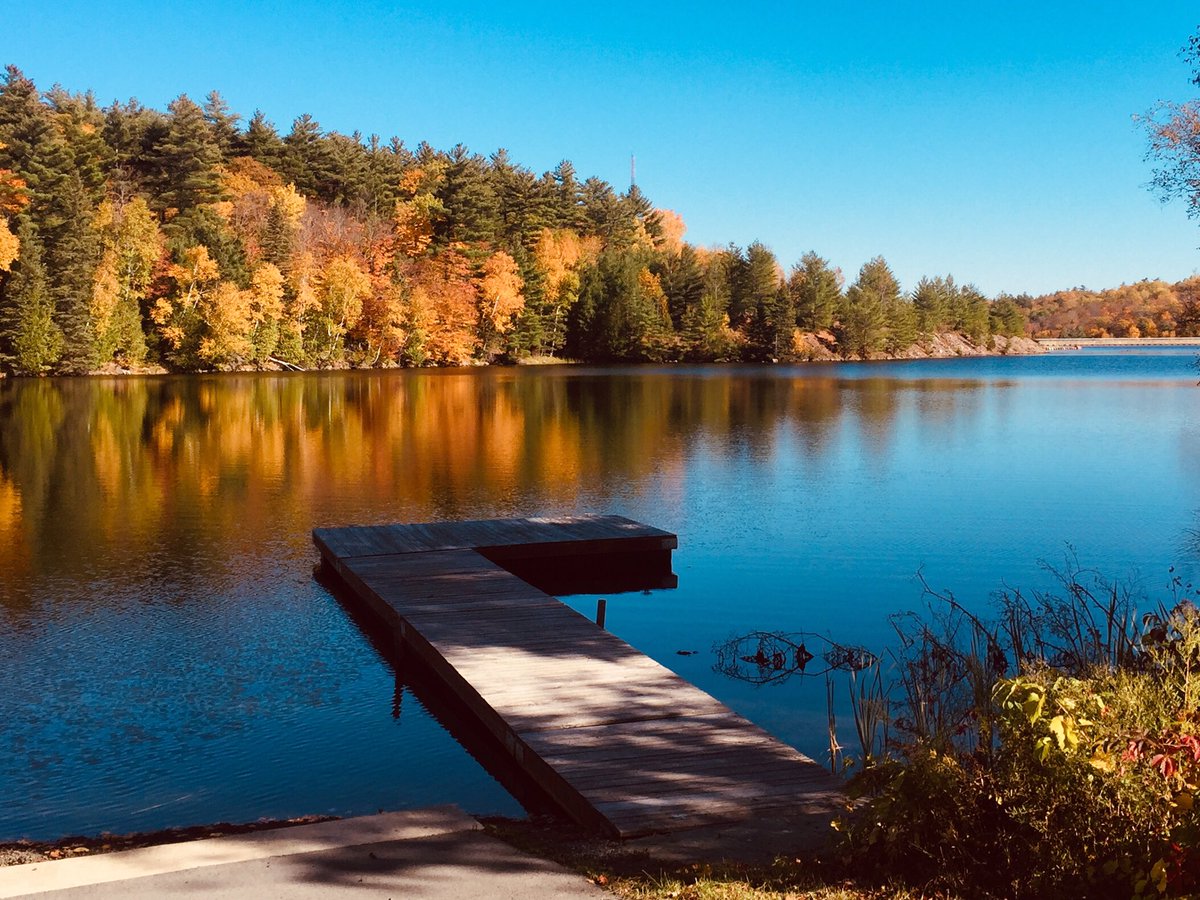 cormiel44's tweet photo. Wishing my @StNicholasAdult colleagues and their families a Happy Thanksgiving! The weather has been spectacular! 🍁Enjoying this beautiful view with my baby girl! 🐶 #OCSBThankful #grateful #outdoorfun https://t.co/lH5kbXreBY