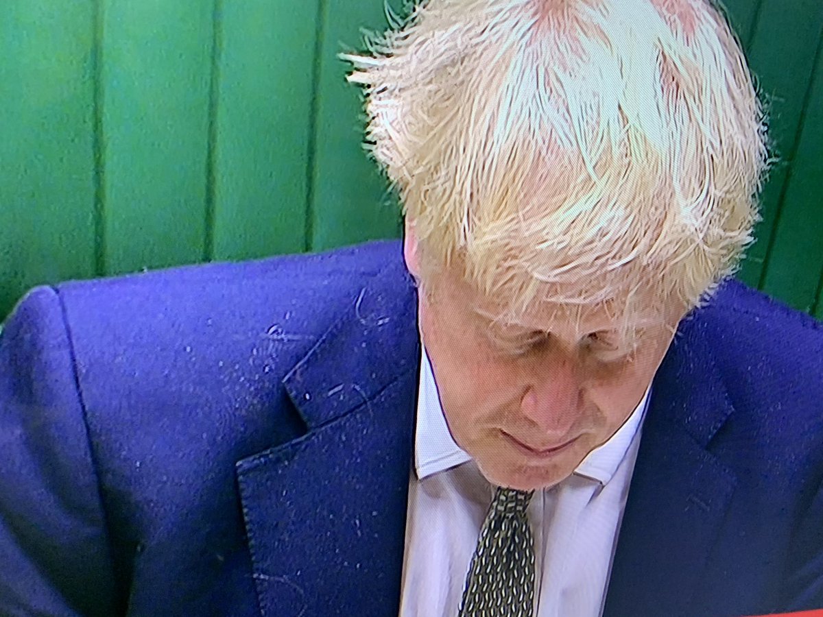 CelebSpotLDN's tweet photo. The absolute state of him. Shedding dandruff and hair. What a mess. @BorisJohnson #PrimeMinister https://t.co/PzsjJIVdj1