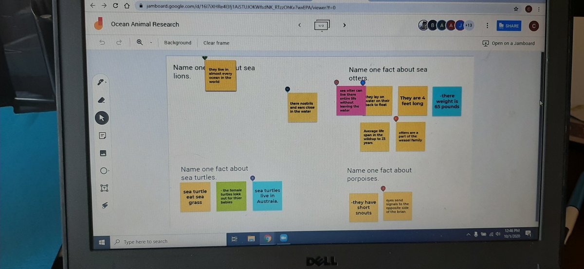 Chantel English tweet media