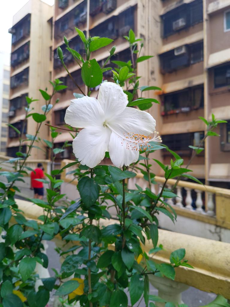 Veenabhakta's tweet image. It&apos;s been nearly 8 hours without power! 
Time passing in the society for about an hour now. A random click. 
#MumbaiPowerFailure
#powergridfailure