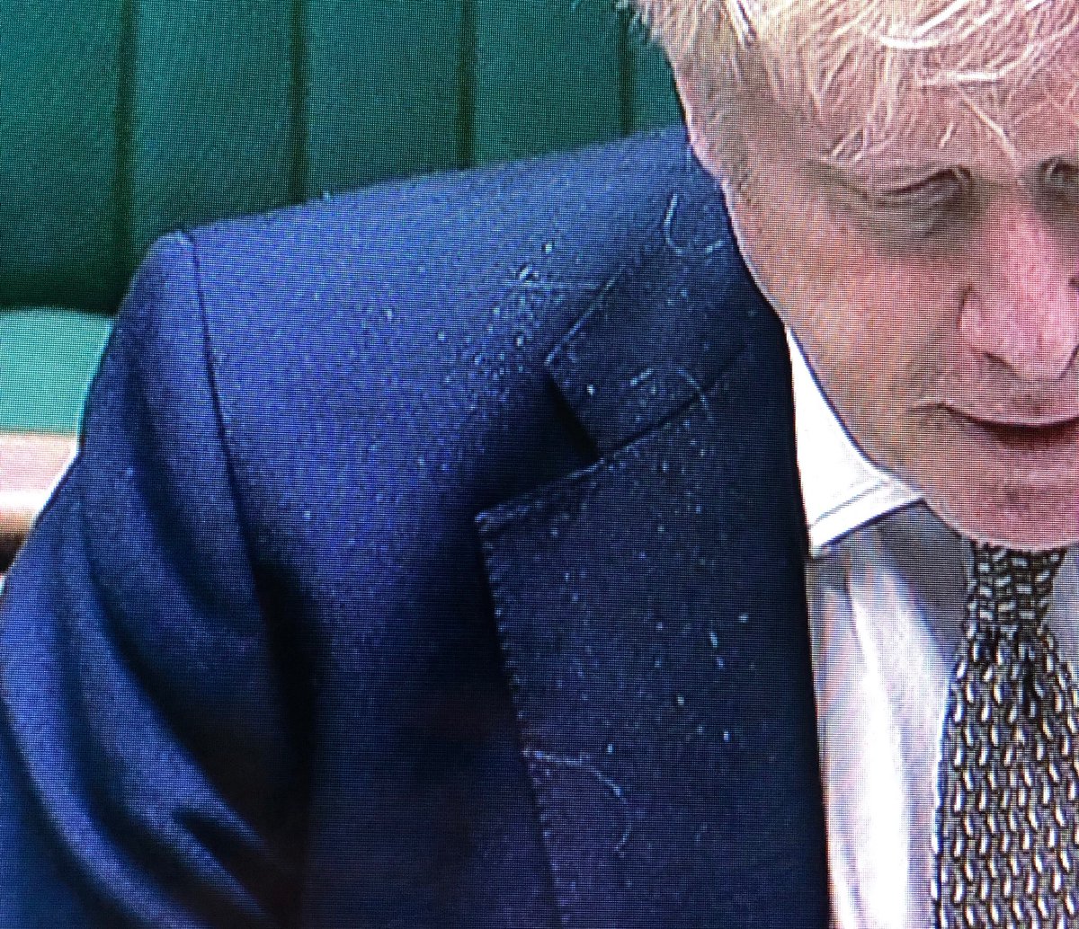 EllieMichell's tweet image. Can’t see past the hairy, dandruffy jacket. Send the man one of those sticky lint rollers.