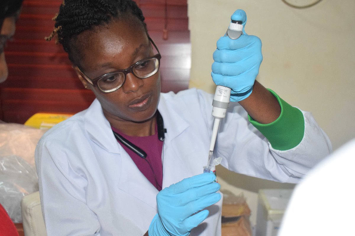 <a href="/FeraScience/">Fera</a> <a href="/RTB_CGIAR/">RootsTubersBananas Breeding</a> <a href="/RadioIITA/">RadioIITA</a> <a href="/julianjsmith1/">Julian Smith</a> @wandieville <a href="/easylateef/">Lateef Sanni</a> <a href="/OFABnigeria/">OFAB Nigeria</a> <a href="/CONNECTED_Virus/">PlantVirusVectors</a>