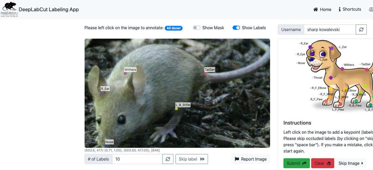 DeepLabCut 🦄 tweet media