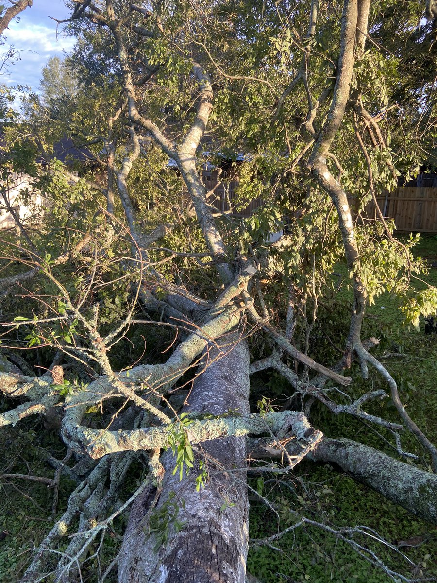 Aliceguidry7's tweet photo. I officially HATE TREES. @clubfitwear #HurricaneDelta #HurricaneDelta2020 #Delta #louisianastrong #workout #lifting #clubfitwear #cfwcrew https://t.co/3emuAMTeoD