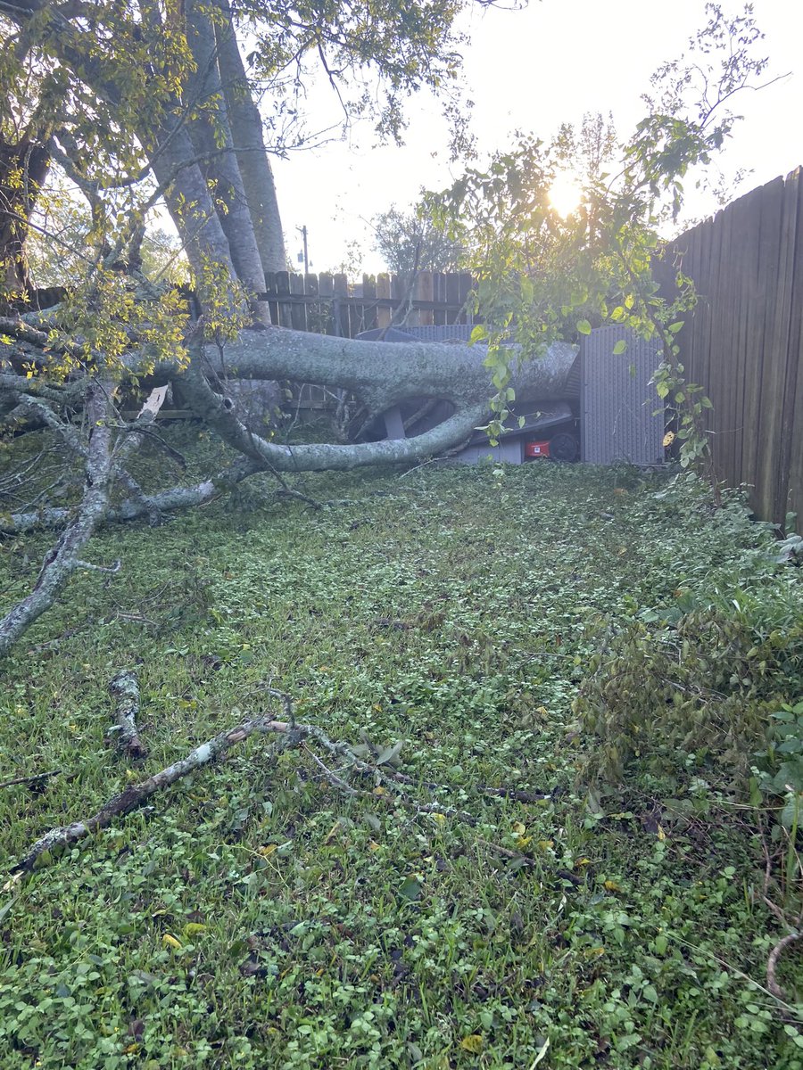 Aliceguidry7's tweet photo. I officially HATE TREES. @clubfitwear #HurricaneDelta #HurricaneDelta2020 #Delta #louisianastrong #workout #lifting #clubfitwear #cfwcrew https://t.co/3emuAMTeoD