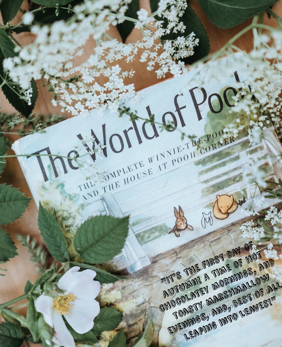 ValoriePrahl's tweet photo. “It’s the first day of autumn! A time of hot chocolatey mornings, and toasty marshmallow evenings, and, best of all, leaping into leaves!” #WinnieThePooh #PrahlHealthandHealing #FeelingYoung #BackToClassics https://t.co/jXKv8VhLBf