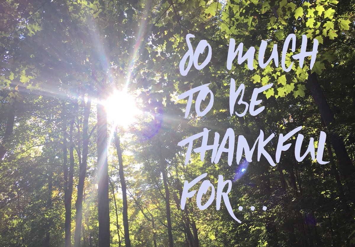 Go_FCVC's tweet photo. Happy Thanksgiving from the #FCVC family 🍁. #ldnont #competitivevolleyball #physicallydistantbutsociallyconnected @ova_updates @SportsXpressLON https://t.co/gEeTOE6gD3