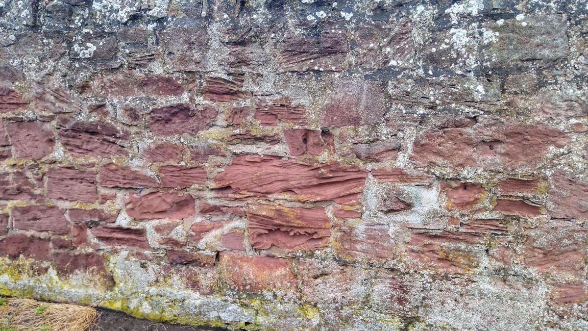 Sadly, it was too slippery to walk on the rocks so I had to move up onto the Esplanade. Where there's more Old Red Sandstone, this time built into the wall & clearly showing the ripples and waves created millions of years ago when this was all an estuary...