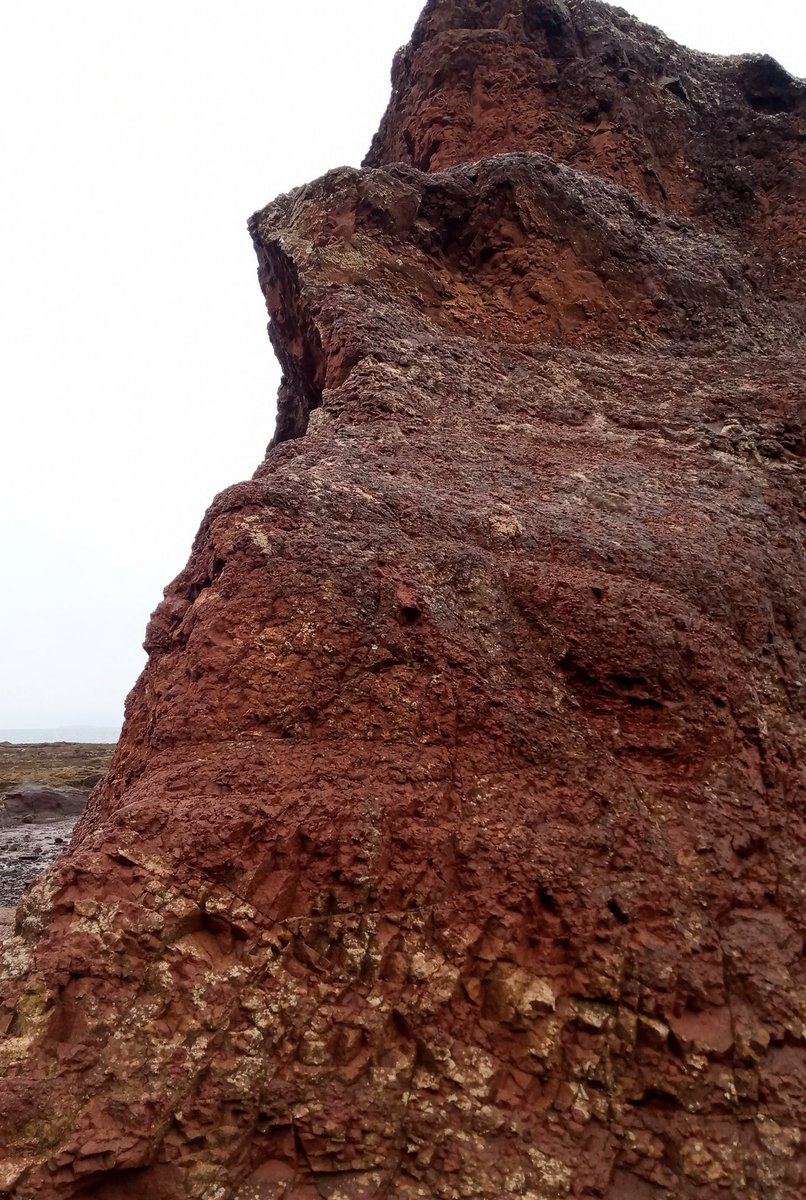 Today, I walked from the High St, along the Pool Beach and the Old Red Sandstone. Not all of it is 'natural' - at one point, you can clearly see the line of paint which I think must have been part of the old pool...