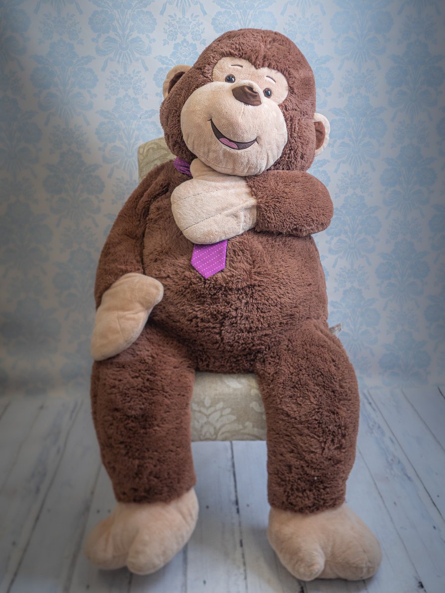 Lisa G Photography tweet media