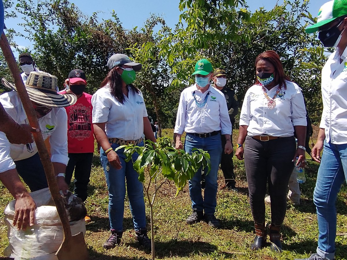 CORPOURABA's tweet photo. #Corpouraba acompañó la comunidad Indígena Jaikerazabi, en la celebración del #DíaDeLaDiversidadCultural
y #DíaMundialDelÁrbol
#SembrarNosUne
@MinAmbienteCo
@ASOCARS
@GobAntioquia 
@Ambiente_Ant https://t.co/fDnY4xI8r5
